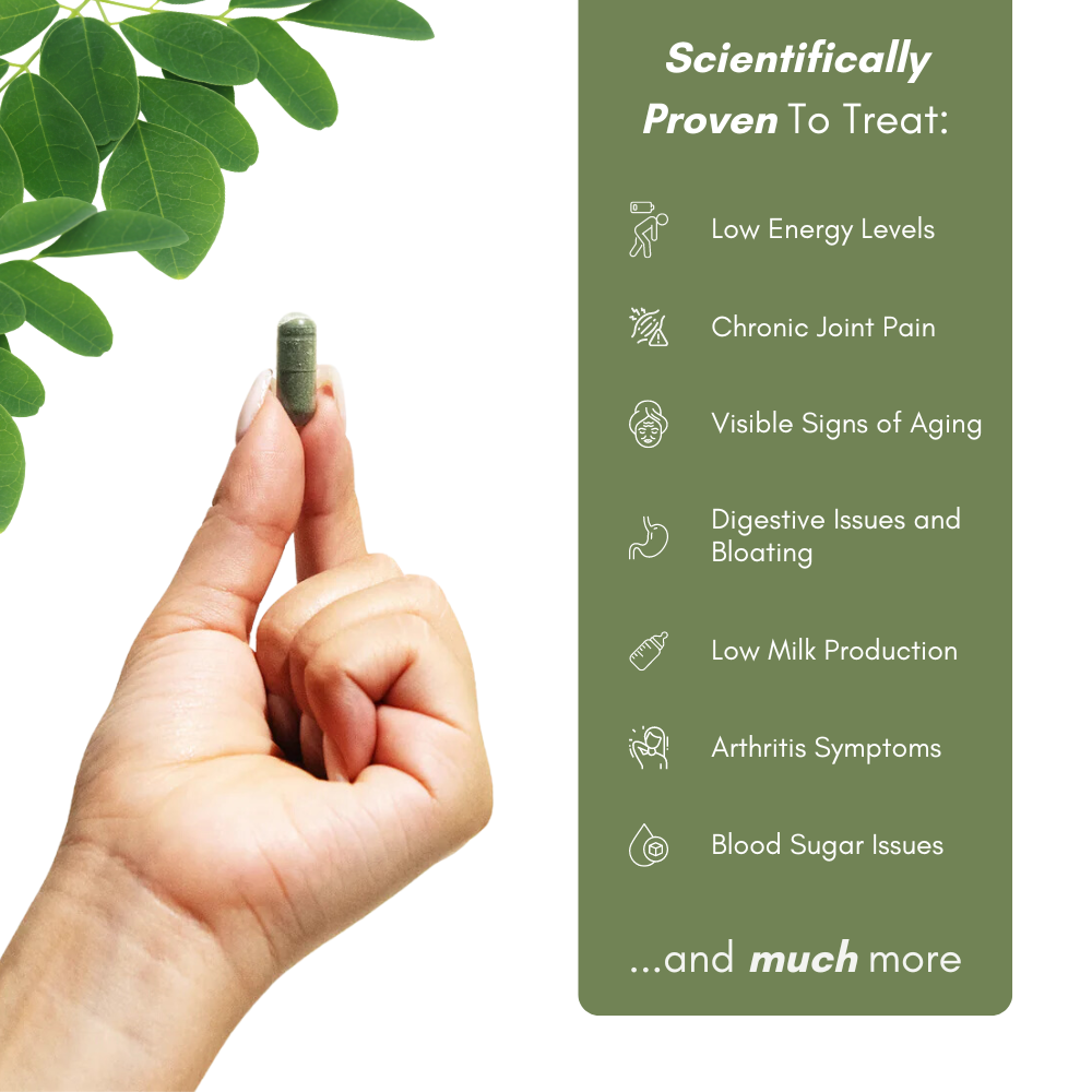 100% Pure | Organic Moringa Capsules