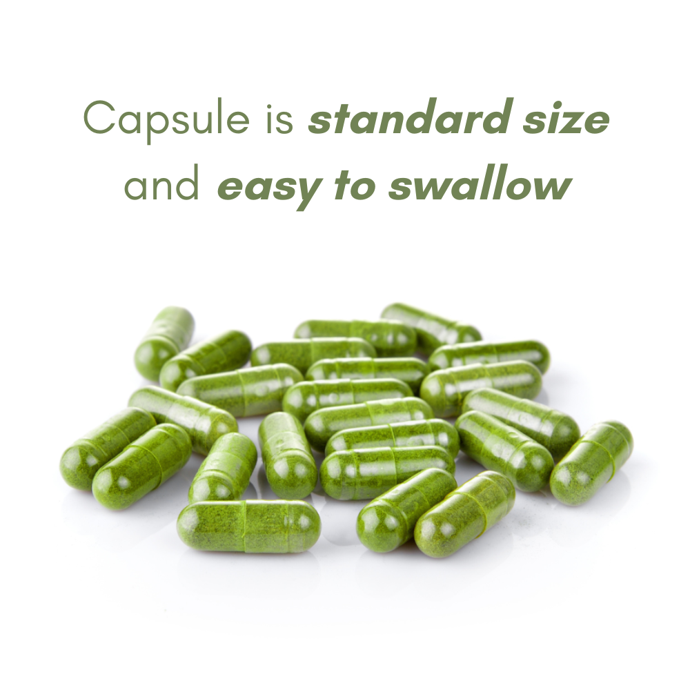 100% Pure | Organic Moringa Capsules