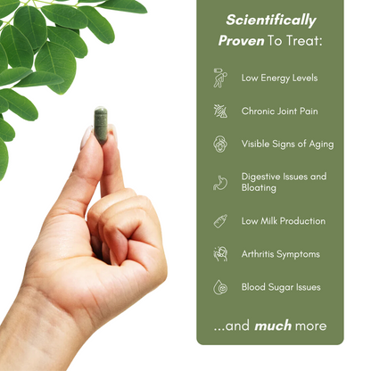 100% Pure Organic Moringa Capsules