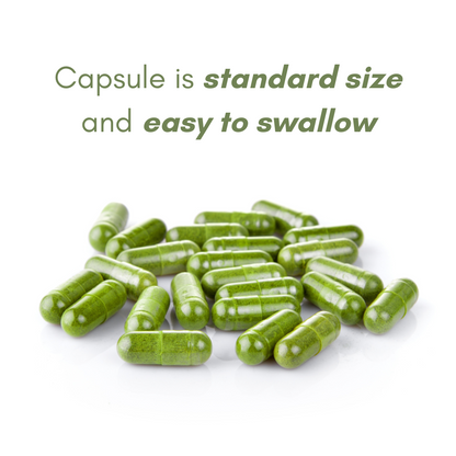 100% Pure Organic Moringa Capsules